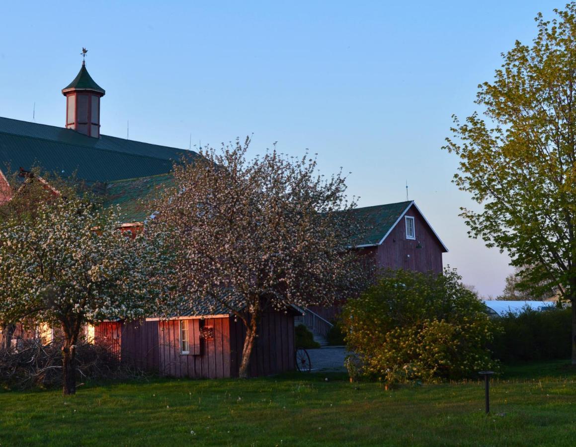 The Eddie Hotel&Farm Bloomfield Exterior foto